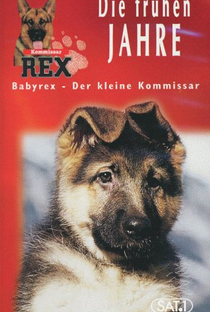 Baby Rex - Der kleine Kommissar - Poster / Capa / Cartaz - Oficial 1