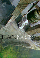 Narciso Negro (Black Narcissus)