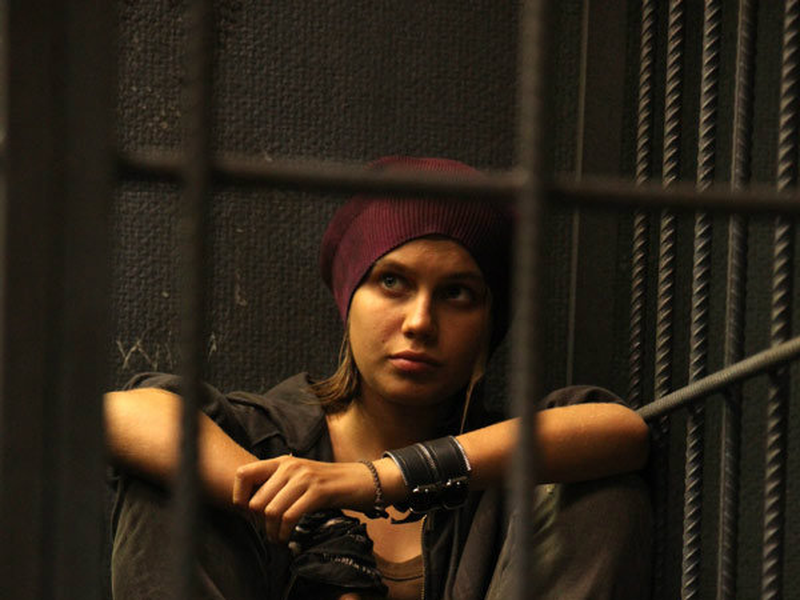 Foto 10 de Steel Butterfly