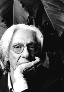 Ferreira Gullar: O Canto e a Fúria (Ferreira Gullar: O Canto e a Fúria)