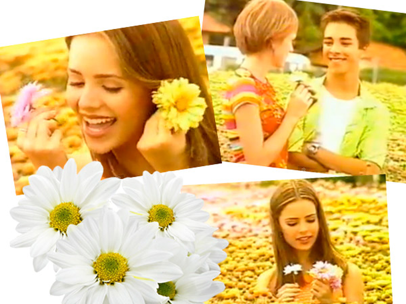 Foto 7 de Sandy e Junior (1ª Temporada)