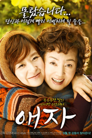 Poster de Filme Adeus, mãe (2009)