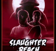 Slaughter Beach