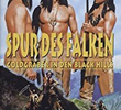 Spur des Falken