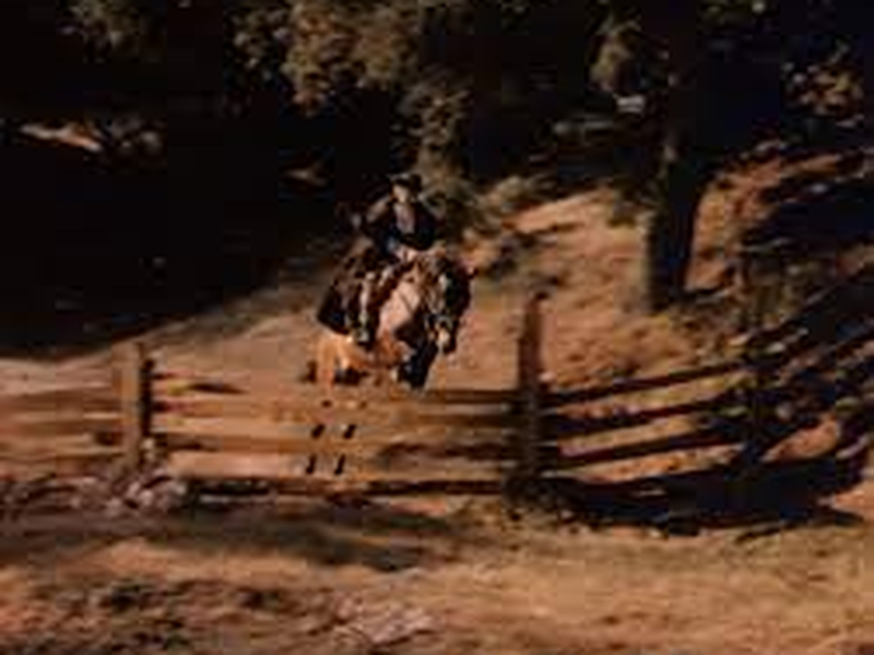 Foto 2 de A Declaração de Independência