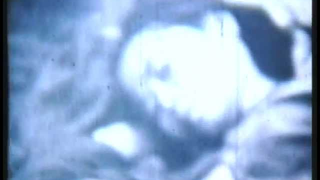 Trailer: Carolee Schneemann, Viet Flakes, 1965