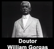 Doutor William Gorgas