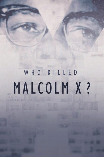 Poster de Franquia Who Killed Malcolm X? (2019)
