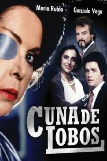Poster de TV Ambição (1986)