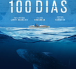 100 Dias