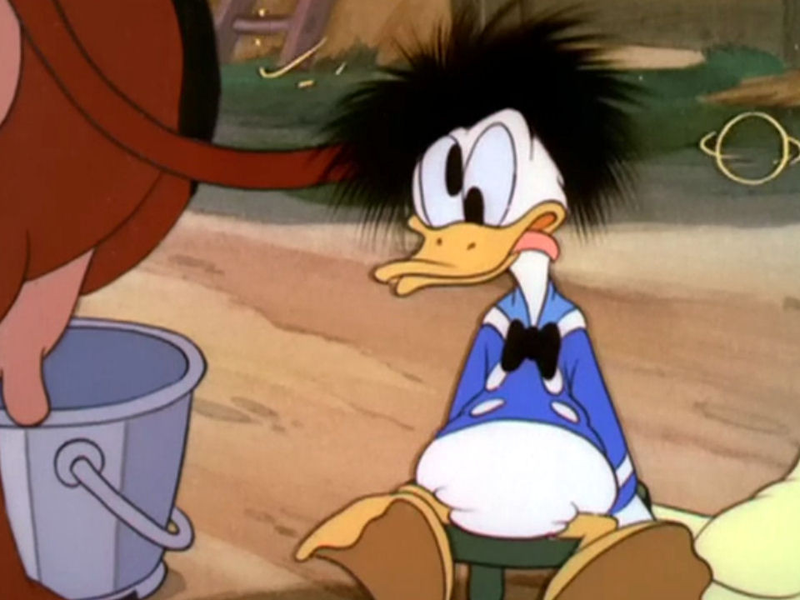 Foto 1 de Seu MacDonald