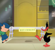 Wet Cement