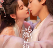 藏药令