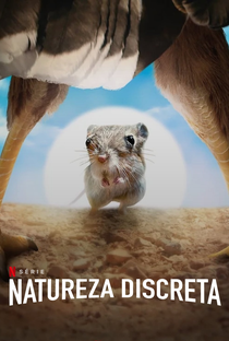 Natureza Discreta (1ª Temporada) - Poster / Capa / Cartaz - Oficial 4