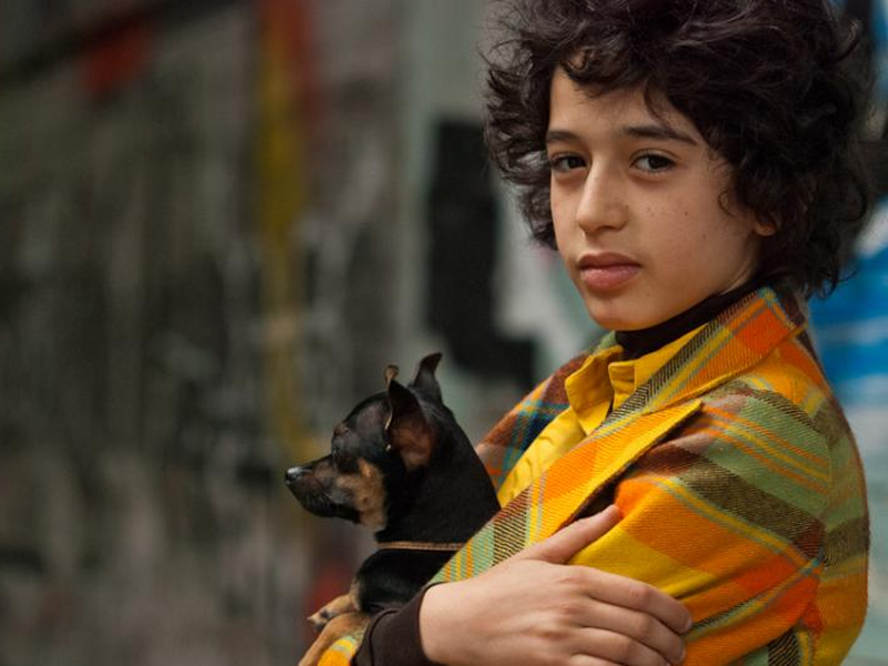 Foto 1 de Crônicas da Infância