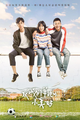Poster 1 de Série A Love So Beautiful Special (2017)