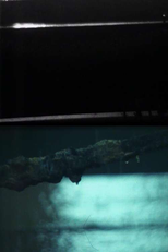 Roulement, rouerie, aubage (Roulement, rouerie, aubage)