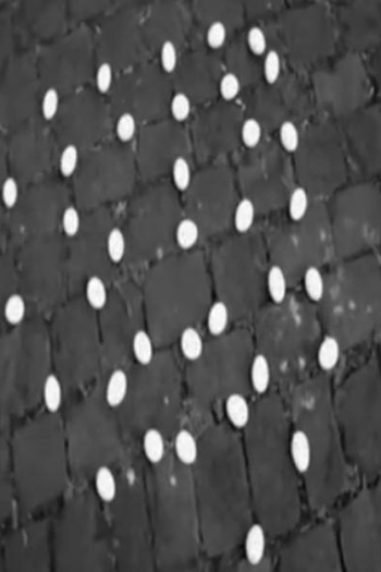 Poster de Curta Ovos e Demasia (2010)