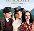 Lassie: A Força do Coração