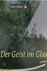 O genio no vidro (der geist im glas)