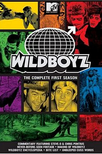 Poster de Série Wildboyz (1ª Temporada) (2004)
