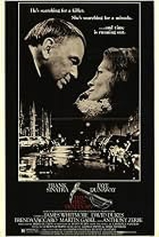 Poster 4 de Filme Surpresas da Vida (1995)