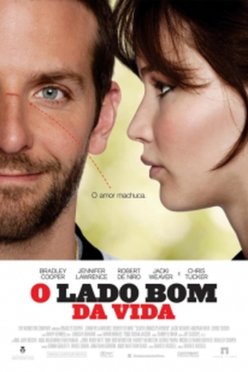  de Filme O Lado Bom da Vida (2012)