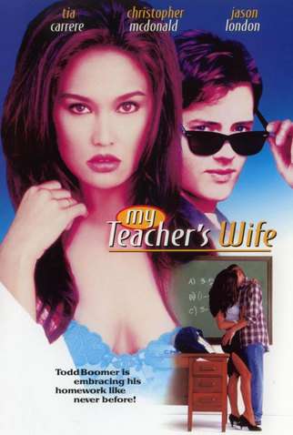 Poster 1 de Filme Caso Arriscado (1999)