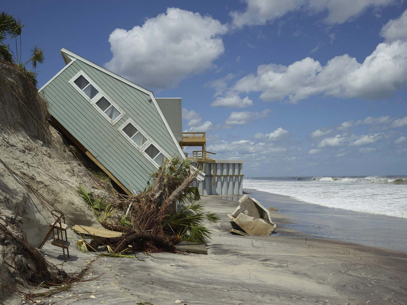 Foto 2 de The Human Element