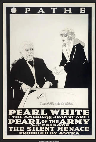 Poster 1 de Filme O Correio de Washington (1916)