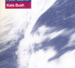 Peter Gabriel ft. Kate Bush: Don't Give Up (Version 1)