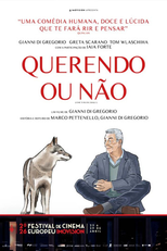 Querendo ou Não (Come ti muovi, sbagli)