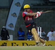 Cricket