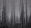 Beaten Path