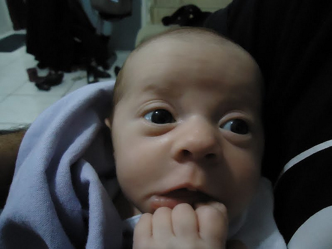 Iara Coutinho - Foto 3