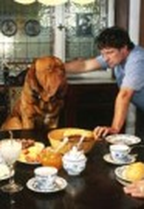 Meu Sócio de Herança (Körner und Köter)