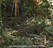 Na Passagem do Trópico