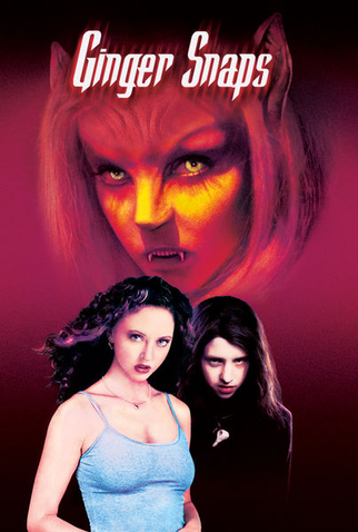 Poster 9 de Filme Possuída (2000)