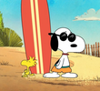 Big Time Beagle