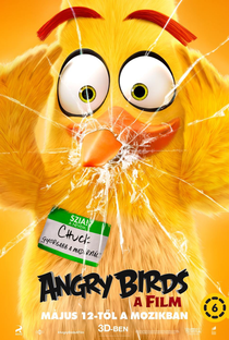 Angry Birds: O Filme - Poster / Capa / Cartaz - Oficial 13