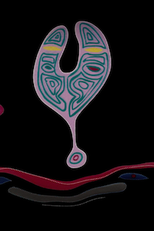 Sonâmbulo (Sonámbulo)