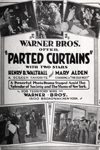 Poster de Filme A Cortina Rasgada (1920)