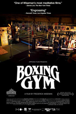 Academia de Boxe (Boxing Gym)