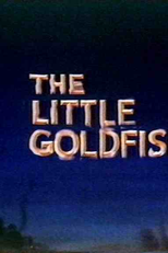 O Peixinho Dourado (The Little Goldfish)