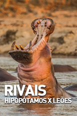 Rivais: Hipopótamos x Leões (Rivais: Hipopótamos x Leões)