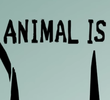 Animal is