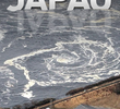 Tragédia no Japão