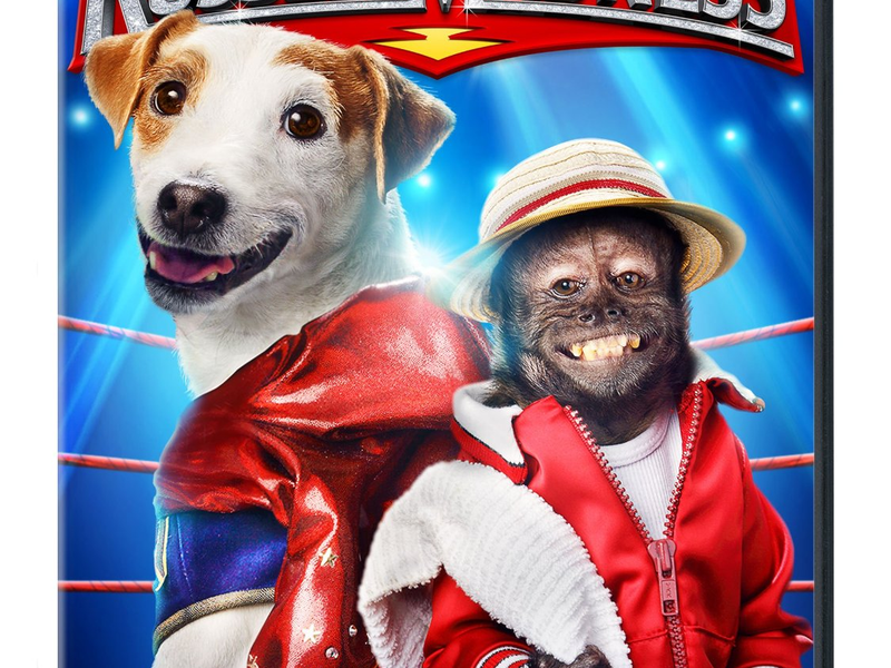 Foto 6 de Russel, O Cãopeão