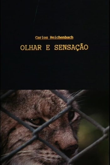 Poster de Curta Olhar e Sensação (1994)