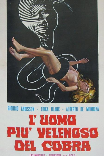 Poster de Filme Target: Murder (1971)